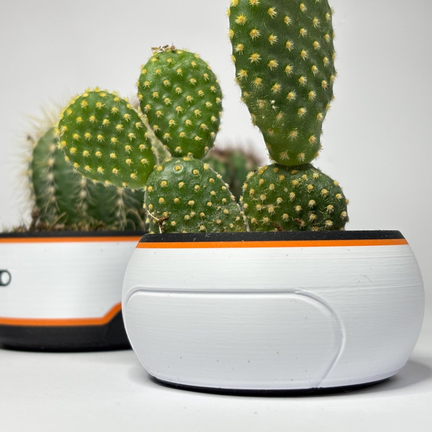 Subnautica planters | 3D geprinte plantenpotten voor vetplantjes